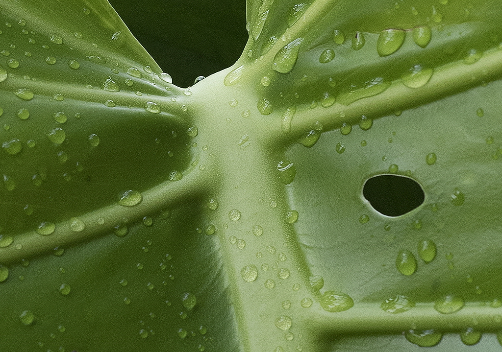 A! Wuppertal Zoo KA7_2745 als Smartobjekt-1 Kopie.jpg